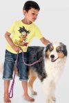 Dragonball Anime Printed T shirt for Boys and Girls
