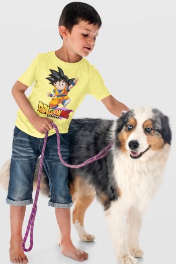 Dragonball Anime Printed T shirt for Boys and Girls